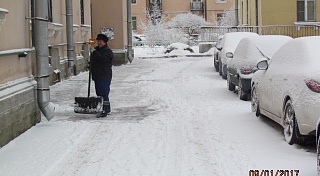 Проверки качества уборки дворов проведены в трех районах Санкт-Петербурга