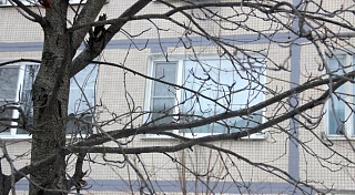 В Петербурге утепление фасадов включат в капремонт