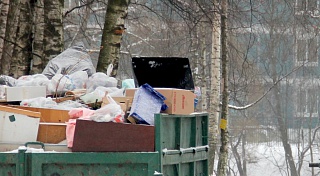 ОНФ выступает за комплексный подход в решении вопроса по переработке отходов